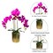 Pink Magenta Phalaenopsis Orchid Floral Arrangement in Gold Vase